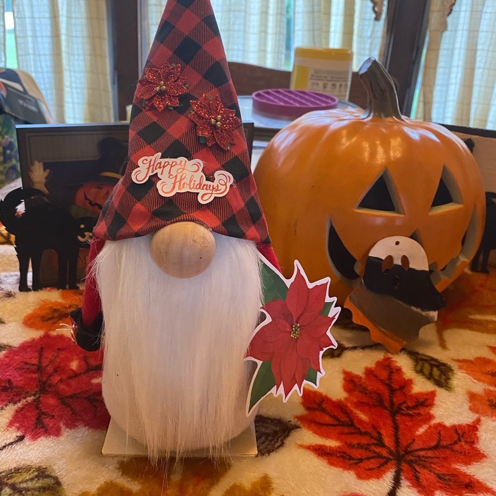 Gnome Christmas